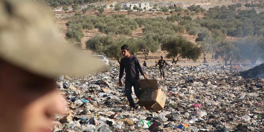 suriye savaşın çevre etkisi ormanlar